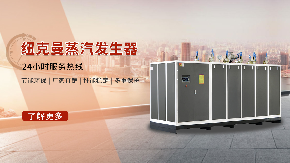 電加熱蒸汽發生器