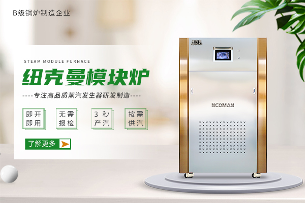 蒸汽模塊爐