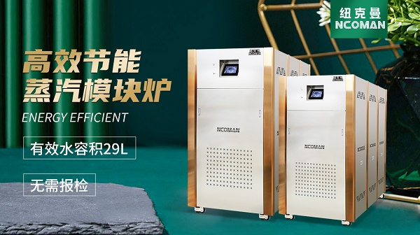蒸汽模塊爐